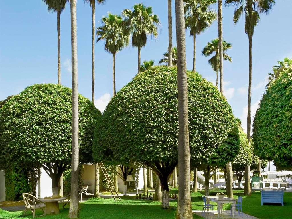 Delano South Beach Miami Beach Konforlar fotoğraf